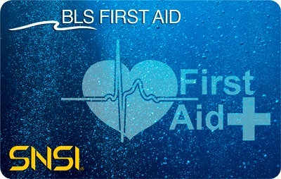 BLS SNSI (Basic Life Support)